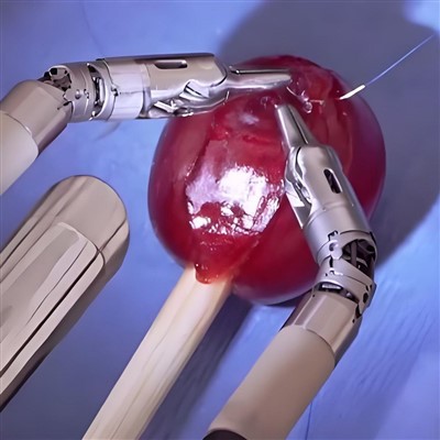 Ελάχιστα επεμβατικό χειρουργικό εργαλείο τελικού τελεστή